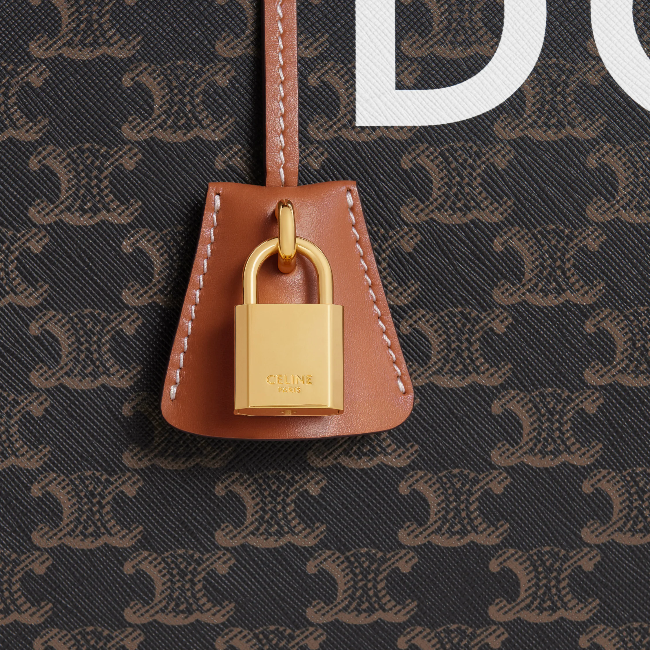 Viaje 50 en lona Triomphe con estampado de perro